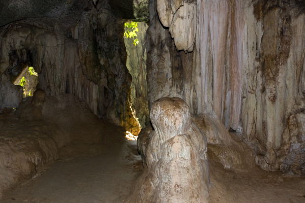 course image